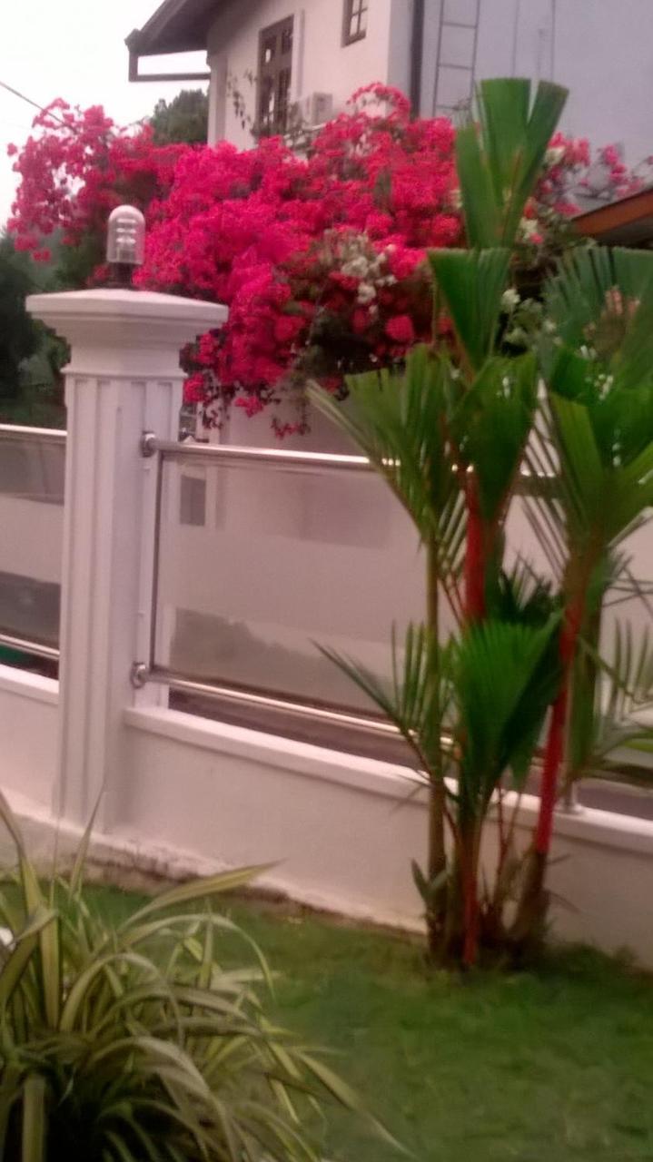 Anna Shanthi Villa Kandy Ngoại thất bức ảnh