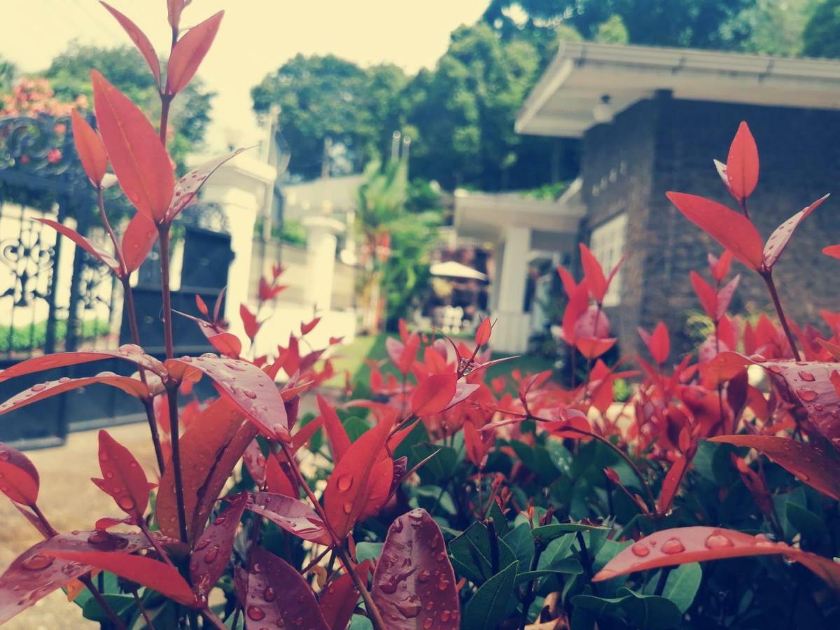 Anna Shanthi Villa Kandy Ngoại thất bức ảnh