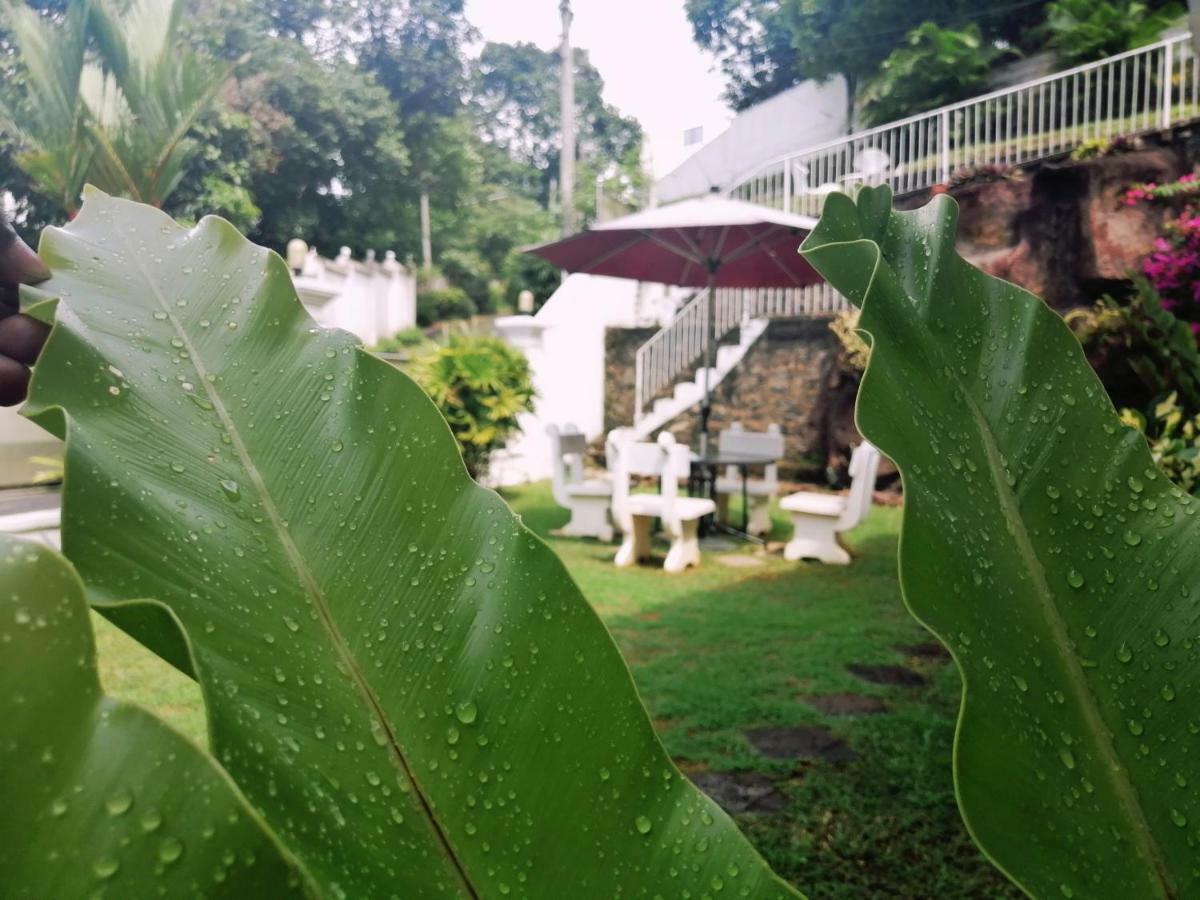 Anna Shanthi Villa Kandy Ngoại thất bức ảnh