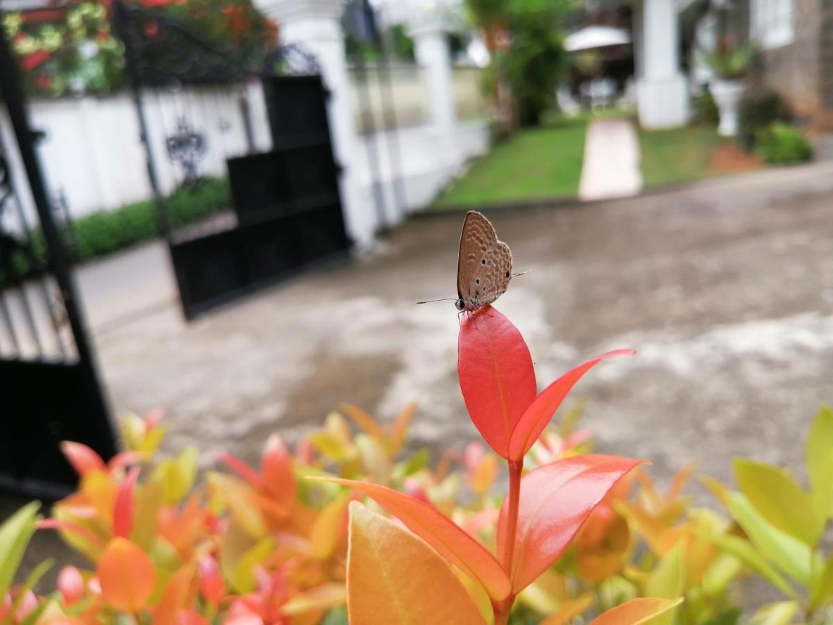 Anna Shanthi Villa Kandy Ngoại thất bức ảnh