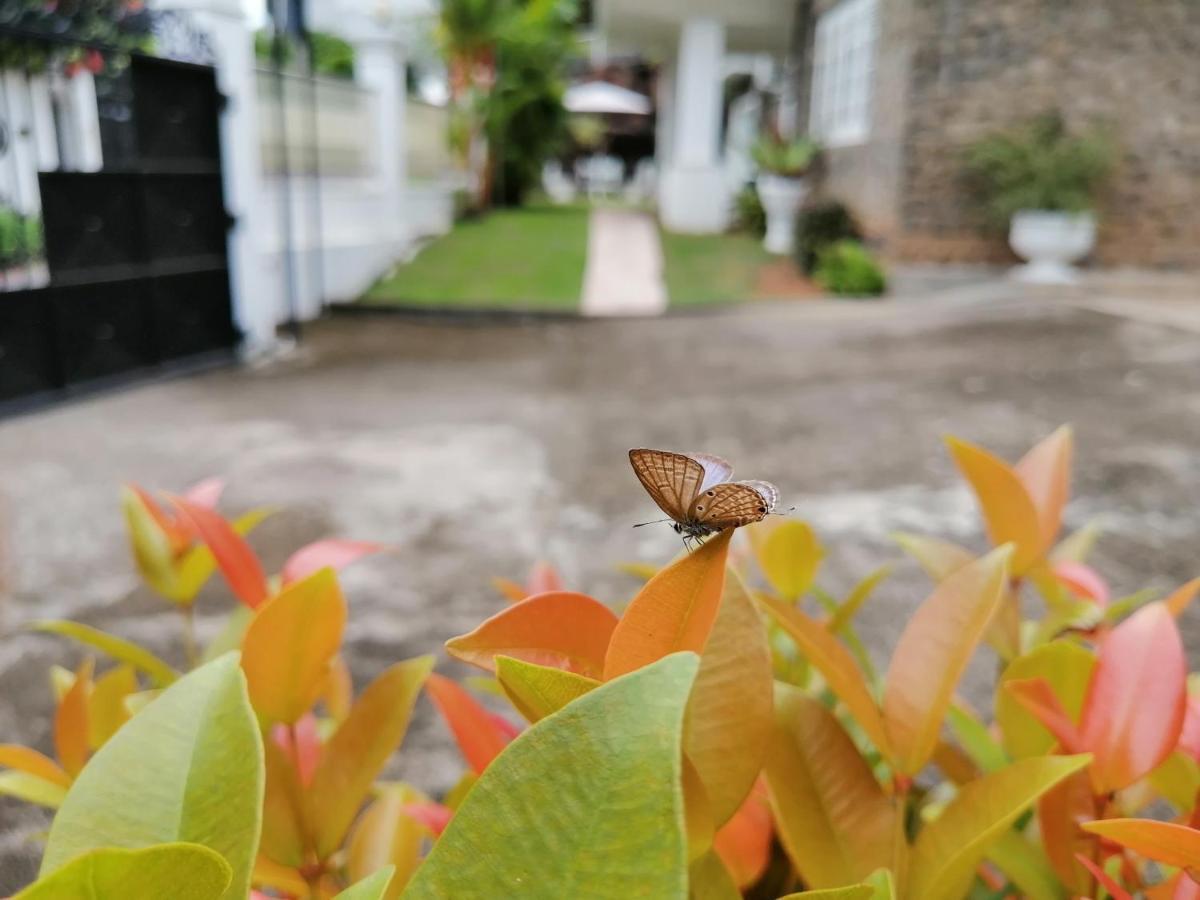 Anna Shanthi Villa Kandy Ngoại thất bức ảnh