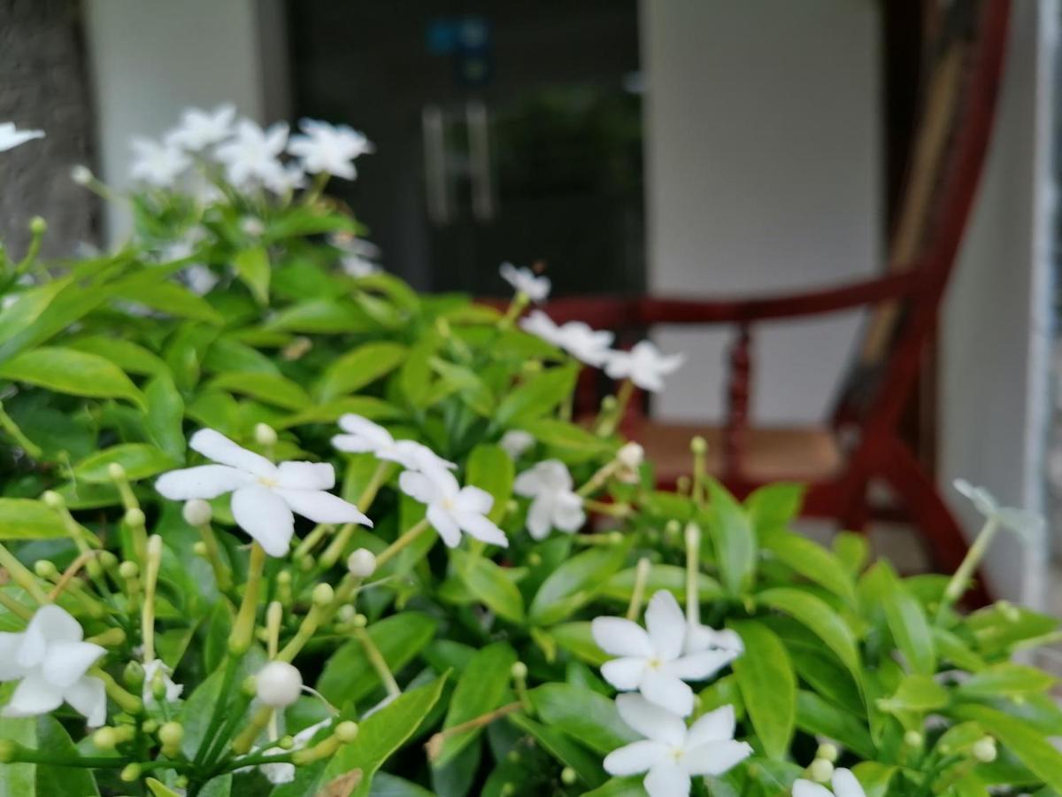 Anna Shanthi Villa Kandy Ngoại thất bức ảnh