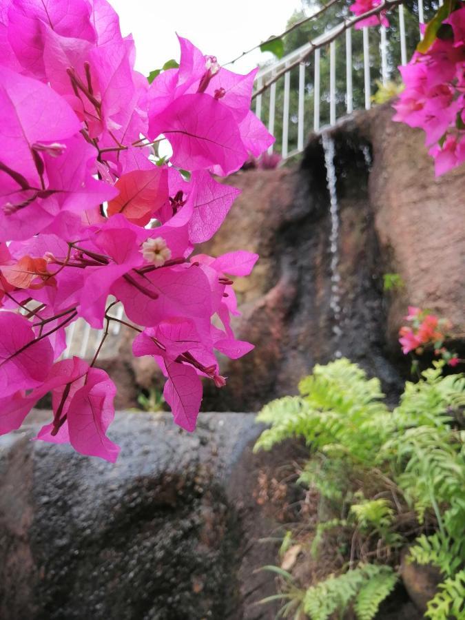 Anna Shanthi Villa Kandy Ngoại thất bức ảnh